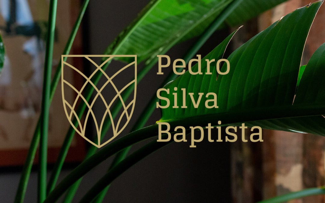 Pedro Silva Baptista Personal Branding