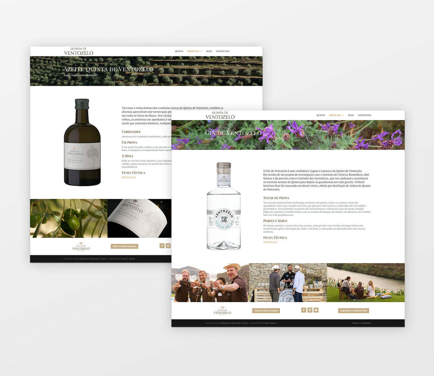 wine, website, quinta de ventozelo, web design