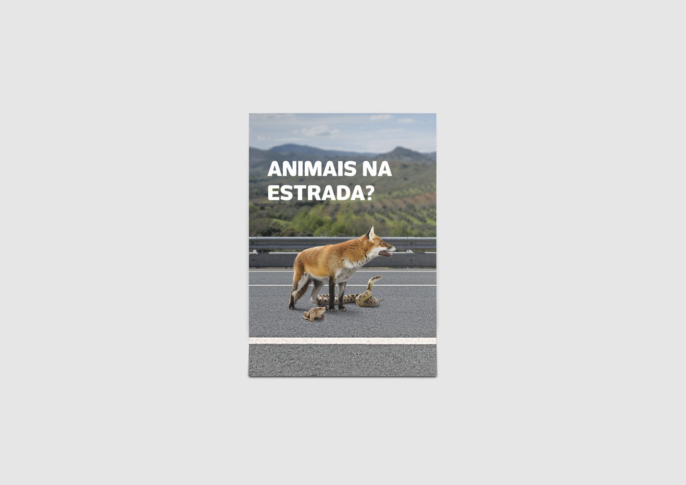 Ascendi - Animals on the Road